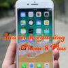Sửa Iphone 8,iphone 8 plus bị Liệt, đơ, loạn cảm ứng trên main tại Nha Trang